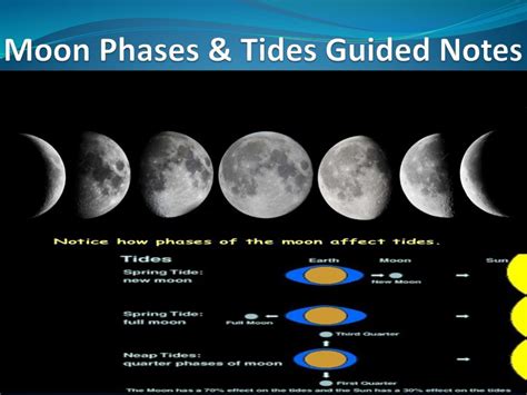 Moon Phases & Tides Guided Notes - ppt download | Moon phases, Guided ...