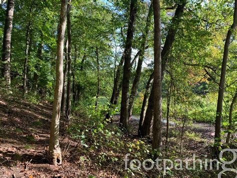 Millstone River Trail at Grover's Mill | footpathing