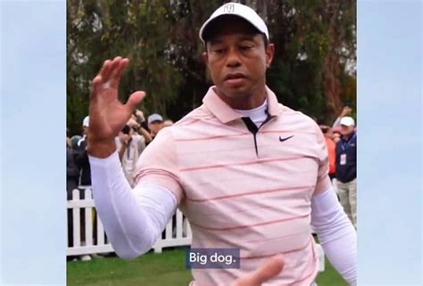 What is the Tiger Woods 'big dog' meme? Everything you need to know