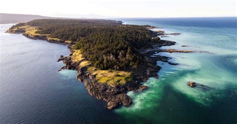 The story of Coastal Douglas-fir forests: All about Hornby Island ...