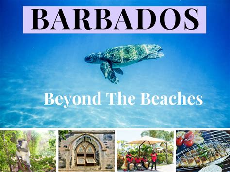 BARBADOS ACTIVITIES: The Marvels Beyond The Beaches!