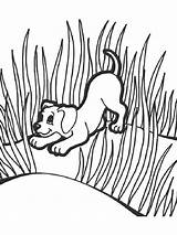 Grass coloring pages sketch template