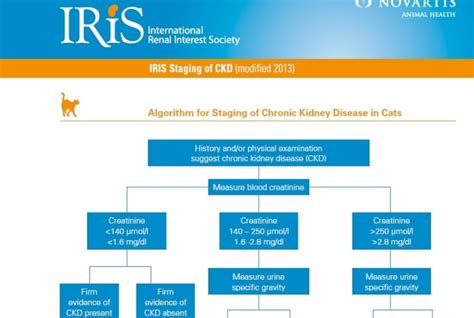 IRIS Staging of CKD (modified 2013) : 네이버 블로그