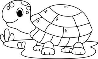 Update more than 149 cartoon tortoise drawing super hot - seven.edu.vn