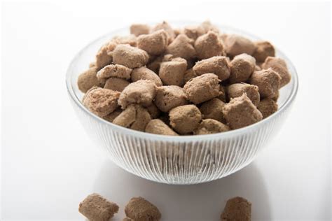 The Best Freeze Dried Dog Food of 2022 - Pet Life Today