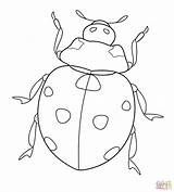 Ladybug coloring page  Free Printable Coloring Pages sketch template