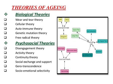 Human ageing process