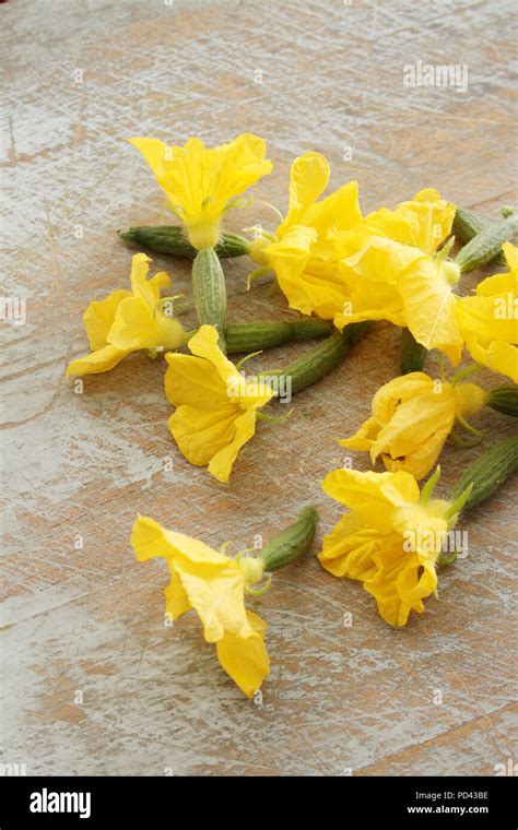 edible cucumber flowers Stock Photo - Alamy