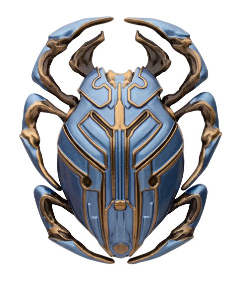 Blue Beetle Insect