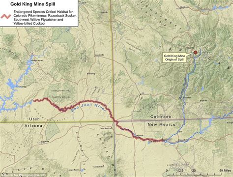 Colorado's River Animas turns YELLOW from one million gallons of waste ...