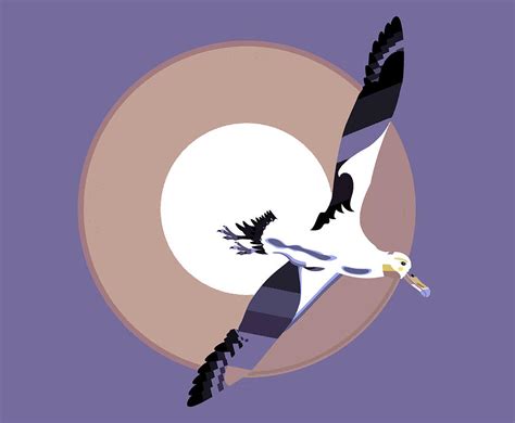 Albatross soaring with wings spread Digital Art by Richard Gage