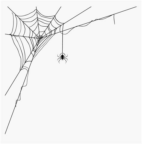 Transparent Spiderwebs Png - Transparent Background Spider Web Png, Png ...