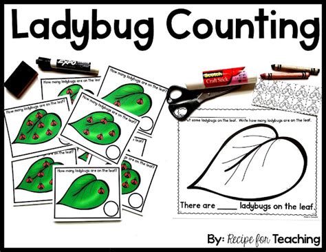 Ladybug Counting - Recipe for Teaching