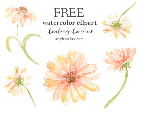 Free Watercolor Clip Art - Daisies