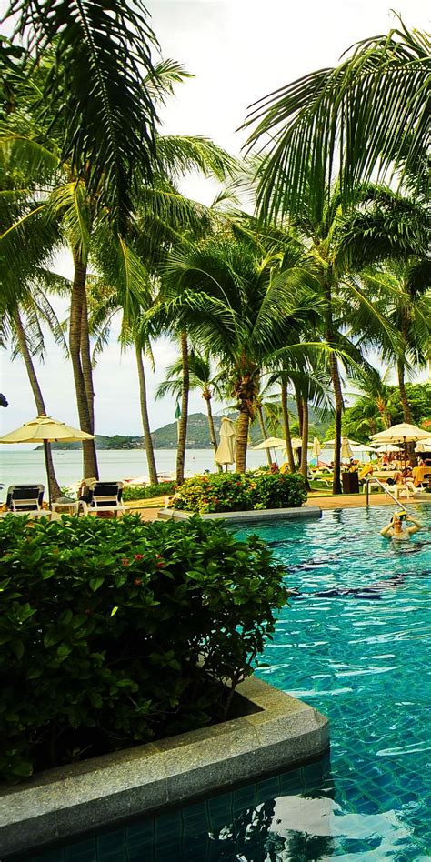 Centara Grand Beach Resort Samui is a top quality resort with a wide ...