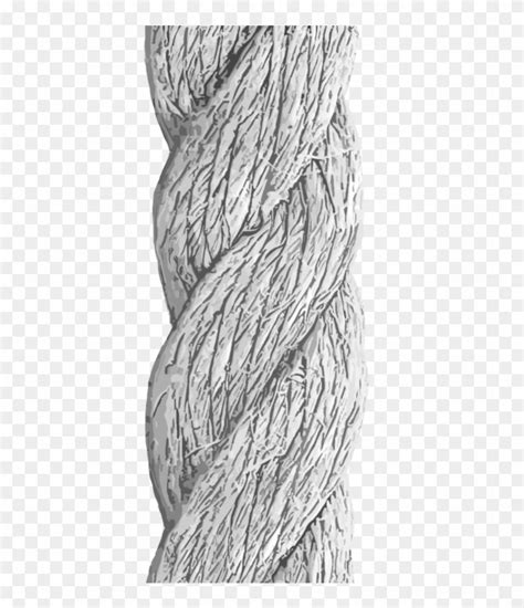 Detailed By Nellems - Rope Texture Drawing, HD Png Download - 894x894(#2739248) - PngFind