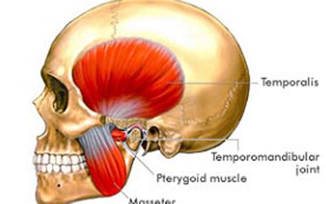 What is TMJ? Dr. Ross explains the complex joint.