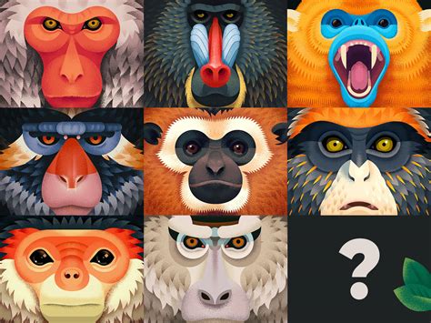 Old World Monkeys on Behance