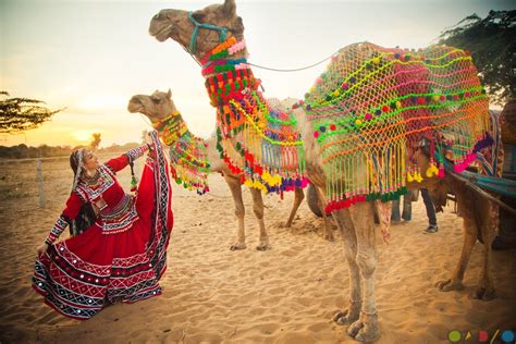 Rajasthan Tour Itinerary | OADZO