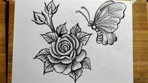 how to draw rose flower and butterfly with pencil sketch drawing,easy pencil sketch scenery ...