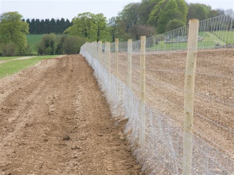 Attractive Deer Proof Fencing: Tips On Building A Deer Proof Fence