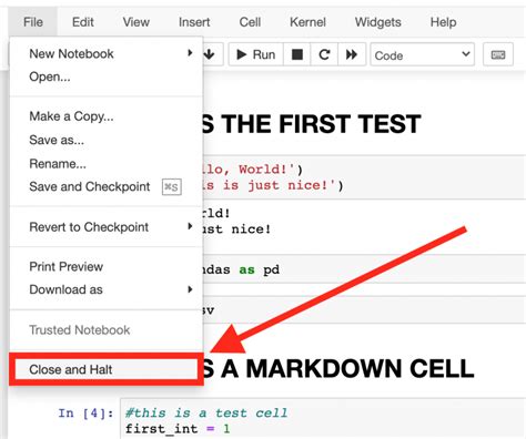 How to Use Jupyter Notebook (Basics for Beginners + Best Practices)