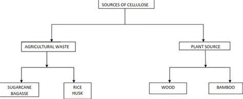 An Update on Overview of Cellulose, Its Structure and Applications ...