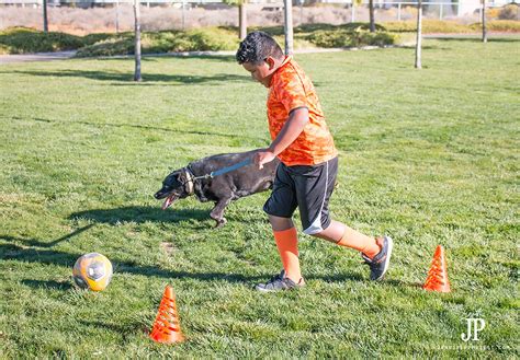 How to Play Soccer with your Dog