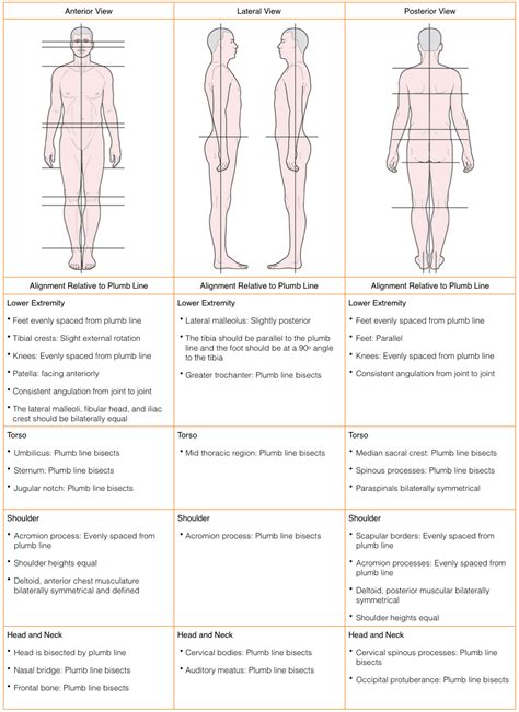 Postural Assessment Introduction