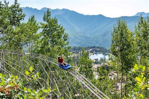 Inferno Mountain Coaster (2023 Guide) - Alpine Coasters