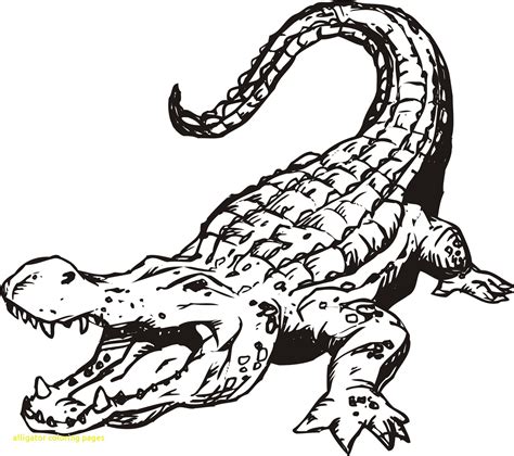 American Alligator Coloring Page at GetColorings.com | Free printable colorings pages to print ...