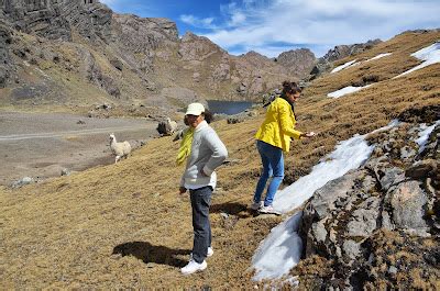 Bolivia: Artists in Sustainable Development: Up Tunari Mountain