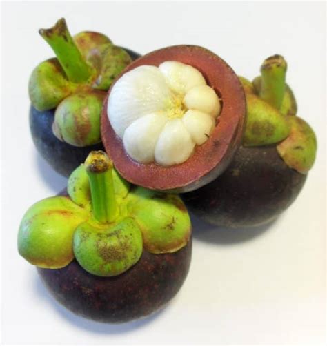 The World’s Weirdest and Most Exotic Fruits - Delishably