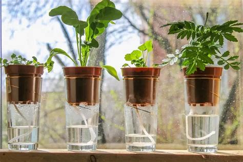 Build Your Own Easy DIY Indoor Watering System - UrbanOrganicYield.com