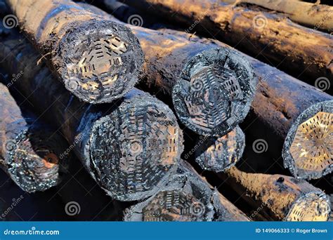 Creosote treated poles stock image. Image of dark, protect - 149066333