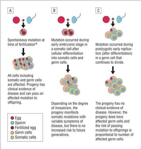 Paternal Germ Cell Mosaicism in Autosomal Dominant Pachyonychia ...