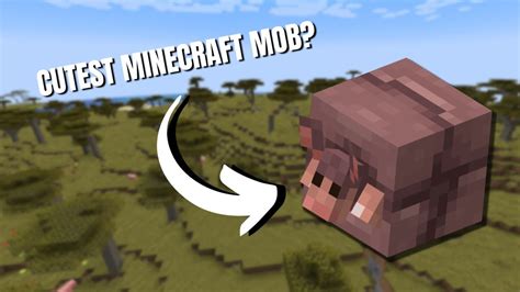 The NEW Minecraft Armadillos Are The CUTEST | Snapshot 23w51a - YouTube