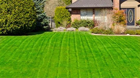 Looking for a Luscious Lawn? Here Are Some Great Tips to Get that Lawn of Yours in Tip Top Shape!