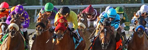 Relish Dubai World Cup Carnival at Meydan Racecourse