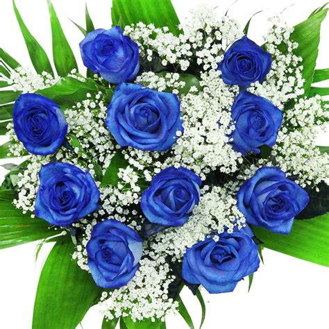 Blumenstrauß blaue Blumen Rosen - Rosenbote