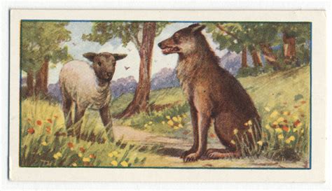 The wolf and the lamb. - NYPL Digital Collections