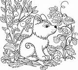 Free Wild Animal Coloring Pages At GetColoringscom  Printable sketch template