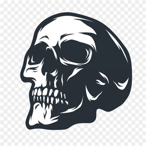 Human skull design illustration premium vector PNG - Similar PNG