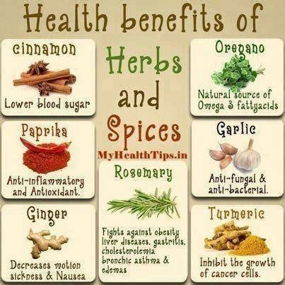 Benefits Of Herbs And Spices - Musely