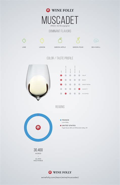 Guide to Tasting and Pairing Muscadet | Wine Folly