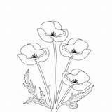Premium Vector  Poppy flower coloring Page For Adults sketch template