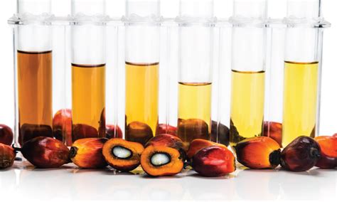 How oleochemicals production is contributing to the palm oil industry