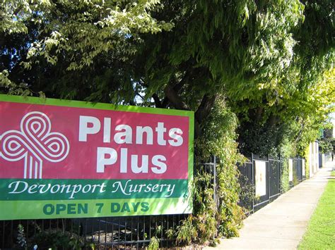 Plants Plus Nursery - Steele Street - Visit Devonport