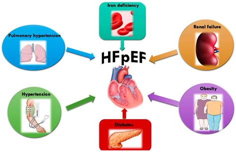 IJMS | Free Full-Text | Treatment of HFpEF beyond the SGLT2-Is: Does the Addition of GLP-1 RA ...