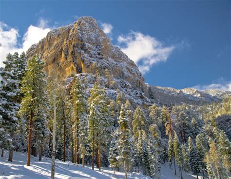 Humboldt-Toiyabe National Forest - National Forest Foundation